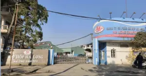 Tổng giám đốc Công ty Đồ hộp Hạ Long