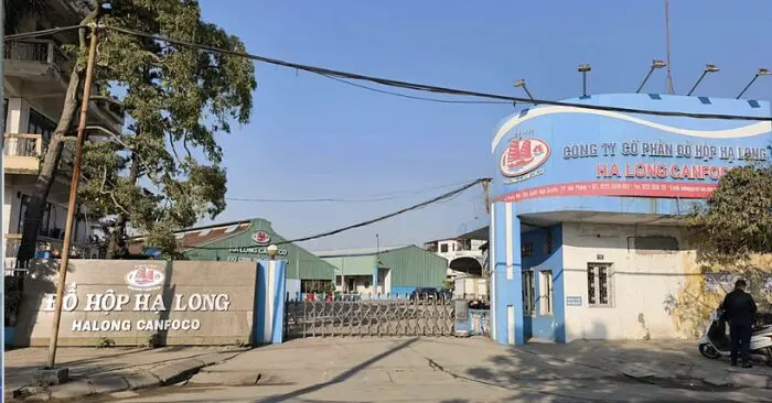 Tổng giám đốc Công ty Đồ hộp Hạ Long