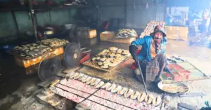 Làng cá nướng Cửa Lò và nhịp sống hối hả ngày giáp Tết