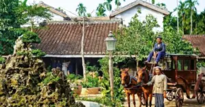 Hành trình ngựa trở thành đồng đội trung thành