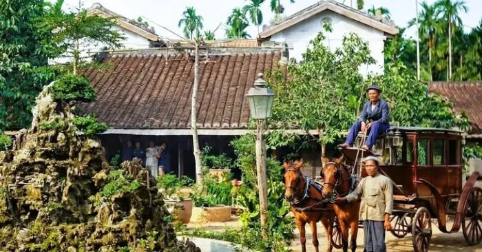 Hành trình ngựa trở thành đồng đội trung thành