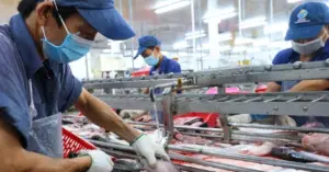 Việt Nam lập kỷ lục xuất khẩu thủy sản