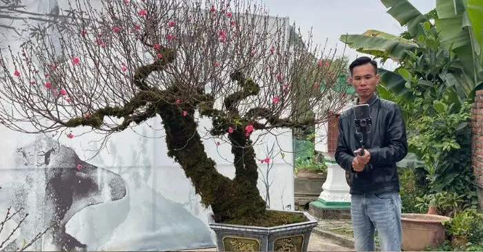 Bán đào Tết qua livestream