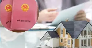 Chia thừa kế đất không có sổ đỏ