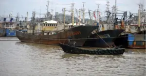 bắt tàu cá Trung Quốc