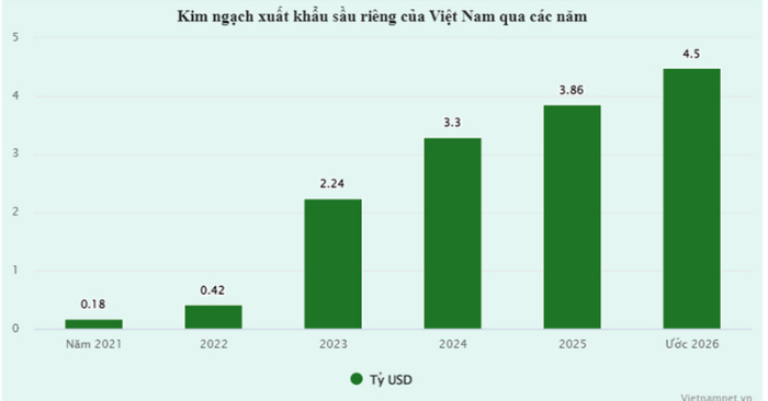 Xuất khẩu sầu riêng: Việt Nam có thể dẫn đầu thế giới vào năm 2026