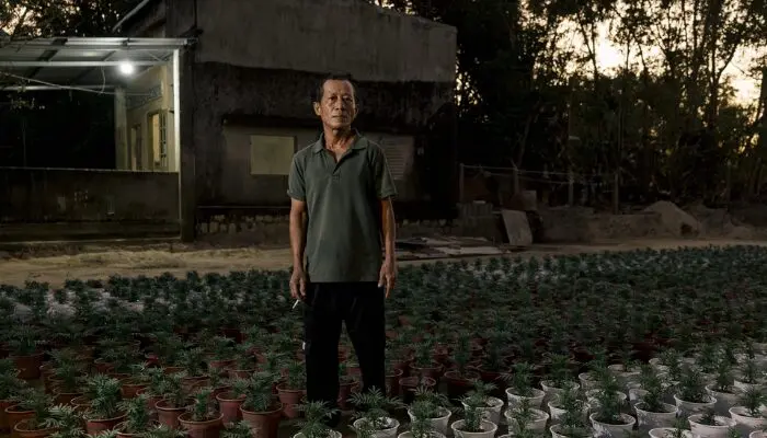 lũ lịch sử
