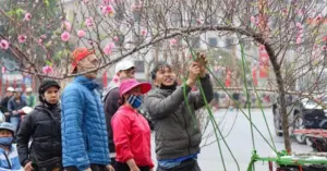 Thời tiết Tết Nguyên đán Bính Ngọ 2026: Bắc ấm, Nam mát