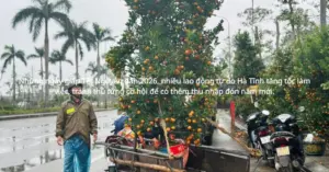 Lao động tự do Hà Tĩnh giáp Tết tất bật mưu sinh