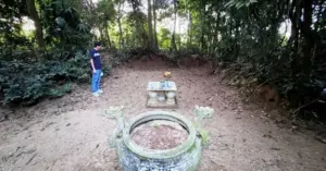 giai thoại trả vàng