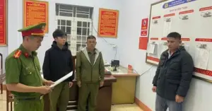 Lúa giống giả ST24 ST25: Khởi tố giám đốc sản xuất hơn 200 tấn