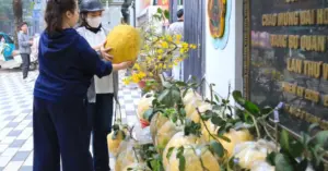 Vì sao người Hà Nội chi tiền triệu mua bòng khổng lồ?