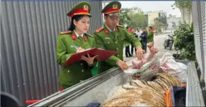 mua bán hổ trái phép