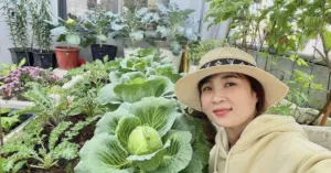 Khu vườn trên cao xanh mướt của cặp vợ chồng ở Đà Nẵng