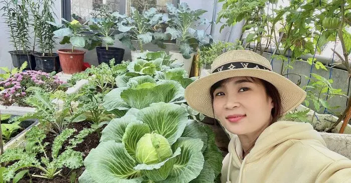 Khu vườn trên cao xanh mướt của cặp vợ chồng ở Đà Nẵng