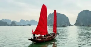 Hồi sinh cánh buồm Hạ Long: Giữ hồn biển cổ