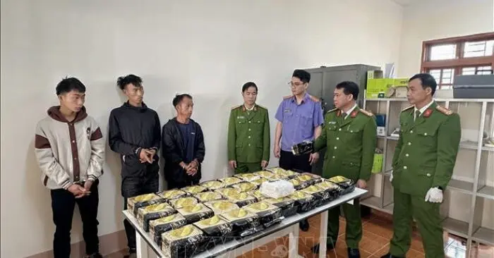 Vận chuyển ma túy: Việt Nam triệt phá nhiều đường dây quy mô lớn