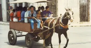 Bài viết phản ánh thực trạng sử dụng xe ngựa và xe kéo tại Cuba nhằm thay thế phương tiện cơ giới khi đối mặt với tình trạng thiếu hụt xăng.