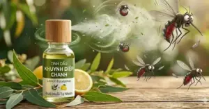 Thế giới chọn khuynh diệp chanh thay cho hóa chất chống muỗi