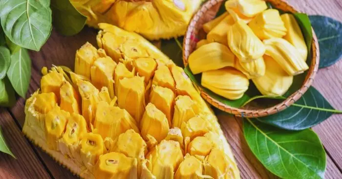 Giá trị dinh dưỡng của mít đối với sức khỏe hệ bài tiết
