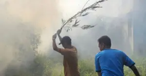 Đám cháy Cần Thơ: Nguy cơ từ việc đốt cỏ gần khu dân cư
