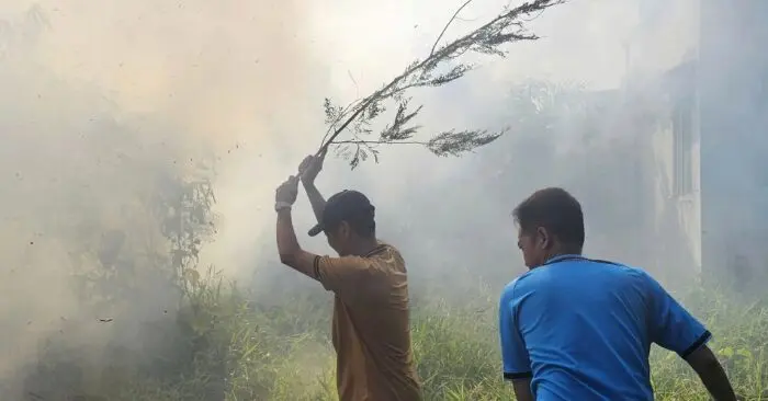 Đám cháy Cần Thơ: Nguy cơ từ việc đốt cỏ gần khu dân cư