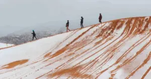 Tuyết rơi ở Sahara