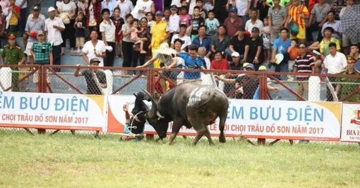 lễ hội truyền thống