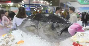 xuất khẩu cá ngừ sang Mỹ