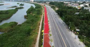 Giá ớt Quảng Ngãi chạm đáy khiến nông dân thua lỗ nặng nề