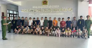 Chuyên án VA726D: Ma túy gia đình và thách thức từ biên giới