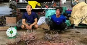 Đồng Nai: Bắt giữ các đối tượng trộm cáp điện trên cao tốc Bến Lức - Long Thành