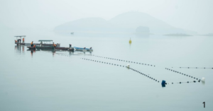 Nuôi trồng thủy sản hồ chứa