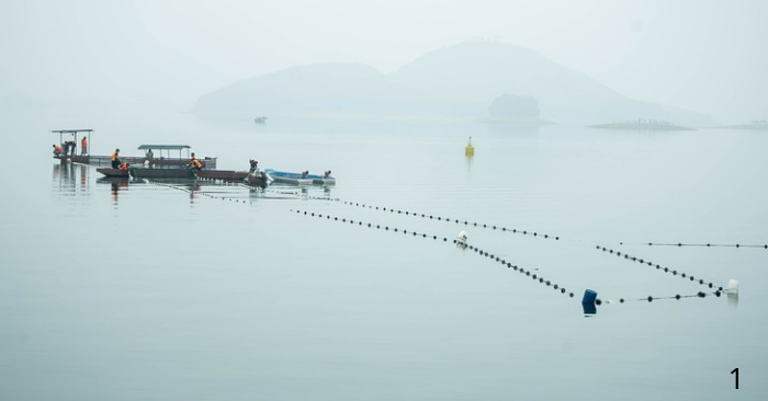 Nuôi trồng thủy sản hồ chứa