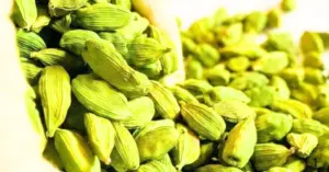 Bạch đậu khấu – gia vị đắt đỏ