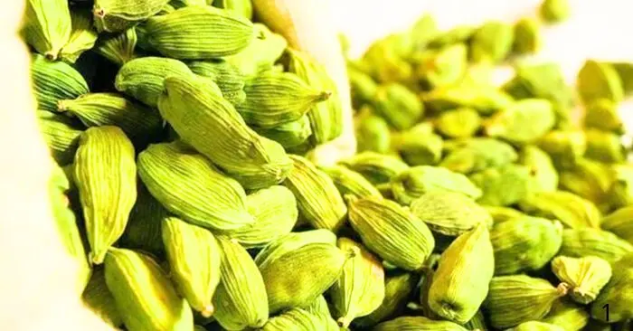 Bạch đậu khấu – gia vị đắt đỏ