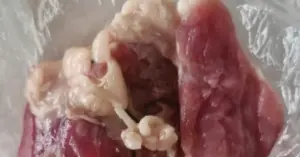 Phụ huynh Thái Nguyên nghi thịt ở trường bán trú nhiễm bệnh