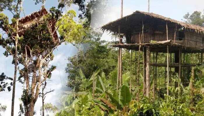 Sự thật về “bộ tộc ăn thịt người cuối cùng”