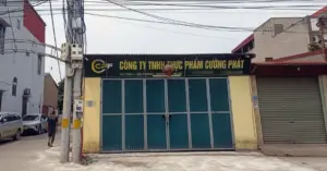 thịt heo bệnh