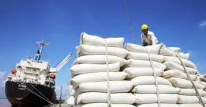Xuất khẩu gạo Việt Nam kỳ vọng đạt 5 tỷ USD năm 2026