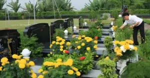 Meta desc: Tiết Thanh minh 2026 hướng dẫn sắm lễ, tảo mộ, văn khấn đúng phong tục, giúp gìn giữ đạo hiếu và nét đẹp văn hóa truyền thống Việt.