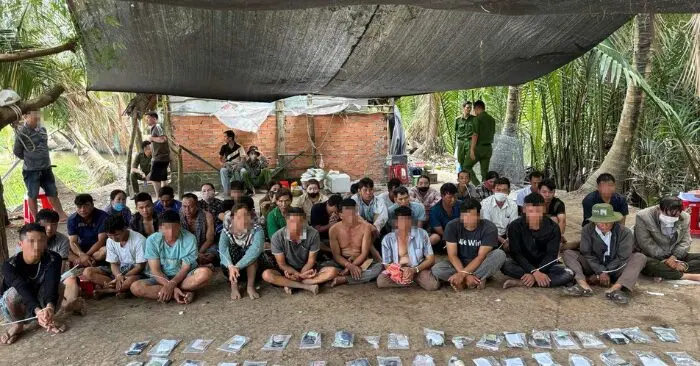 Đột kích trường gà An Giang, 36 người bị tạm giữ, tang vật gồm tiền, cựa sắt, điện thoại, cơ quan chức năng tiếp điều tra