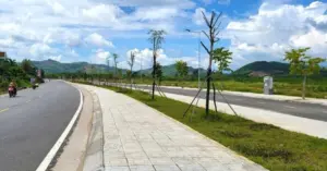 Người đàn ông TPHCM bỏ cọc 16 lô đất.