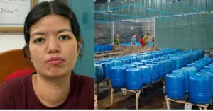 Sản xuất giá đỗ độc hại: Khởi tố người phụ nữ cung ứng 510 tấn ra thị trường