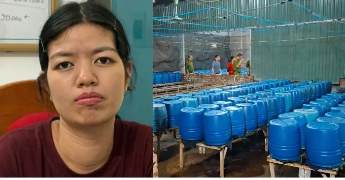 Sản xuất giá đỗ độc hại: Khởi tố người phụ nữ cung ứng 510 tấn ra thị trường