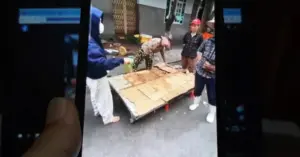 Nghi vấn thịt lợn giả bò: Gia Lai xác minh phản ánh tại chợ Đầm