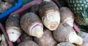 Khoai môn và lợi ích sức khỏe từ bàn ăn Việt đến Nhật Bản