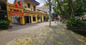 Bảo tồn đường làng cổ Hành Thiện trước làn sóng "phố hóa" nông thôn