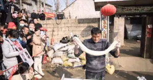 Nổi tiếng sau một đêm