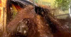 Sự cố mật mía tràn tại Nghệ An gây thiệt hại hàng tỷ đồng